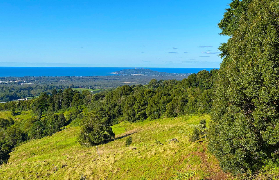 拜倫灣+黃金海岸一日遊實測｜港人親測這3個亮點必打卡！避坑看這篇✨