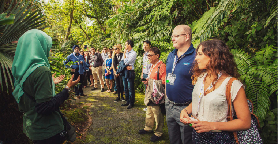 檳城升旗山The Habitat實測｜世界最長雙跨索橋+樹頂步道全攻略｜避坑看這篇✨