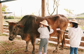 宜蘭壯圍親子農場｜和水牛互動超讚！門票折抵50元實測分享✨