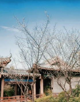 惠州2026春節賞梅5大絕佳去處｜超全攻略