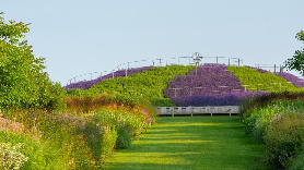 倫敦郊外240英畝秘密花園實測！RHS Wisley避坑+隱藏玩法✨