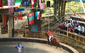 臺中高美濕地+清境農場一日遊實測！這3個坑我幫你踩過了✨