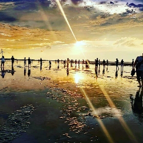 臺中高美濕地+清境農場一日遊｜預訂前必睇！呢3個註意點唔好漏✨