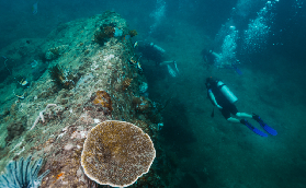 麗貝島水肺潛水實測｜零經驗也能玩！泰國馬爾代夫海底冒險避坑指南✨