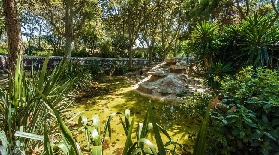 巴塞隆納動物園門票實測｜預訂前必看3個坑！超抵玩法別錯過✨