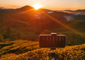 金馬倫日出健行心得｜珊瑚山徒步超讚+BOH茶園必訪亮點💛