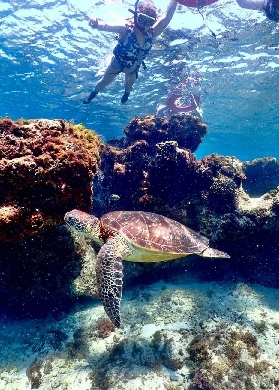 屏東小琉球浮潛實測｜蟹老板4.9分體驗預訂前必看3個坑🕳️