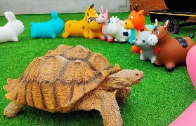 宜蘭回巢Homing實測｜門票選品怎麽挑？親子/情侶套票差超多✨