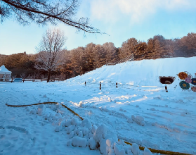 26年1月南怡島冬日自由行