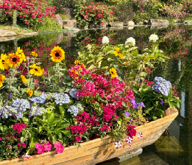 雲蘿植物園 城市裡的莫奈花園