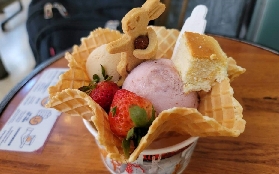 臺中半日遊實測｜高美濕地夕陽+鳳梨酥DIY超抵玩！避坑指南公開✨