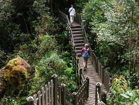 金馬侖高原半日遊實測｜3個必知避坑點+隱藏美景✨