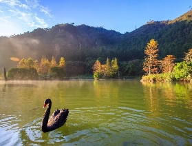 宜蘭明池實測｜北橫明珠避暑攻略！免排隊購票+隱藏玩法✨
