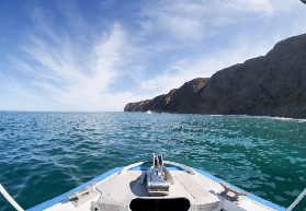 澳洲海豹島冒險一日遊實測｜3個避坑要點+超狂海洋邂逅！