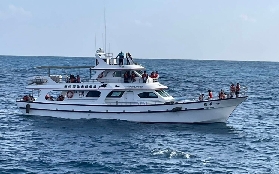 花蓮賞鯨選品必睇！華維賞鯨3個預訂前隱藏貼士｜唔好俾坑！