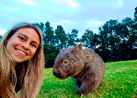悉尼週邊避人潮秘境！全包小團遇袋熊+瀑布+銀河✨