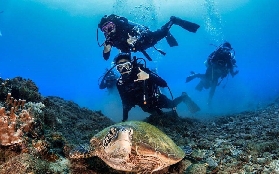 墾丁潛水實測｜PADI五星中心超讚！小醜魚珊瑚礁看到飽✨