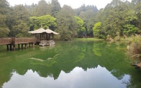 日月潭阿裏山穆斯林3日遊｜現場體驗超讚細節大公開🤩