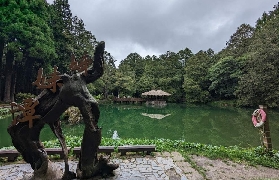 臺灣阿裏山太平雲梯二日遊｜穆斯林友好行程真實玩透透超讚✨