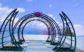 臺中梨山一日遊預訂前必睇！避坑清單大公開✨