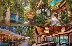 高雄凈園農場實測｜5個隱藏體驗讓我玩到不想走🤩