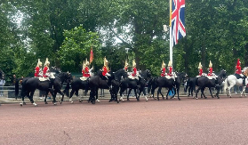 倫敦衛兵交接實測｜坐私人黑的搶最佳機位！避坑指南收好✨