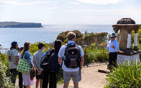 雪梨半日遊選這款！含機場接送超抵✨預訂前必看3個考量