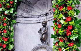 布魯塞爾漫畫逃脫遊｜實測6公裏壁畫路+密室！避坑指南看這篇✨