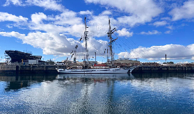 阿德萊德港海豚巡航實測｜避坑指南+預訂必看！超抵2小時體驗✨