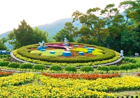 臺北一日遊實測｜4景點避坑指南！陽明山繡球花+野柳女王頭超讚✨