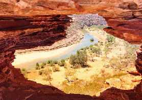 西澳3天粉紅湖之旅｜三星vs四星實測選品！超抵玩法不踩雷✨