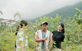 花蓮隱藏版！加灣部落獵人竹寮親測｜避坑+預訂指南✨
