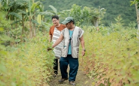 花蓮加灣部落親測｜獵人竹寮超讚！3個必註意亮點💡
