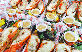 西澳粉紅湖+羅特內斯特島實測｜4天3晚玩遍自然奇景！短尾矮袋鼠超親～🥰