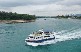 新加坡跳島遊避坑總結！露天渡輪行程必看指南