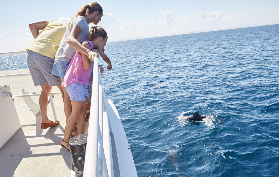 悉尼出發史蒂芬斯港1日遊實測｜避坑+超抵玩法看這篇✨