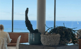 悉尼南海岸選品攻略！預訂前必看這4點✅