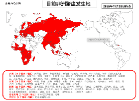 東京原宿必試！迷你豬咖啡廳預訂+避坑全攻略✨