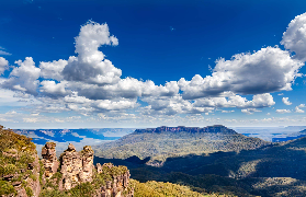 藍山+短尾矮袋鼠一日遊｜韓語導遊帶路！避坑實測超抵玩✨