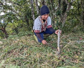 高雄出發！排灣族獵人體驗實測｜2天1夜超讚細節曝光✨