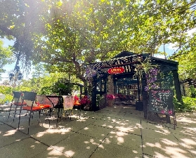 屏東露營實測｜阿信巧克力農場免搭帳太讚！星空超震撼✨