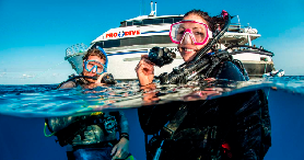 持證潛水黨必沖！凱恩斯大堡礁3天2夜船宿實測✨