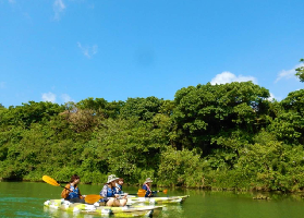 沖繩比謝川獨木舟｜實測！劃行中居然見到咁多驚喜？🤩