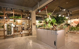 桃園螞蟻帝國博物館實測｜近距離看50種本土螞蟻超讚！🤩