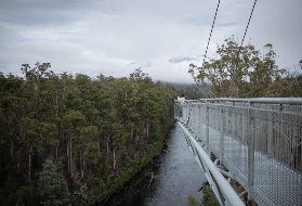 塔斯馬尼亞4日遊避坑總結！5個實用建議幫你玩得更順✨