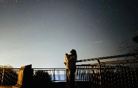 悉尼藍山觀星+短尾矮袋鼠之旅｜預訂前必看3大選品避坑！超抵！