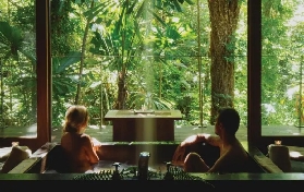 丹翠雨林半日遊親測！親子遊首選+隱藏版體驗