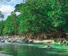 帶你暢遊丹翠雨林🌿揭秘絕美莫斯曼峽谷 🌏