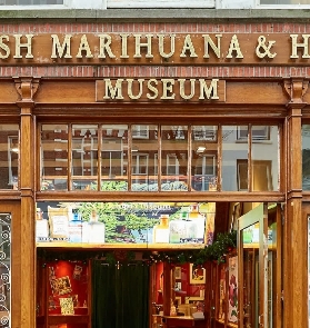 阿姆斯特丹大麻博物館實測｜紅燈區旁必打卡！避坑&體驗全攻略✨