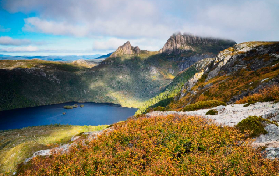 「塔斯馬尼亞一日遊實測」朗塞斯頓出發！搖籃山+壁畫小鎮，超讚行程不踩雷✨